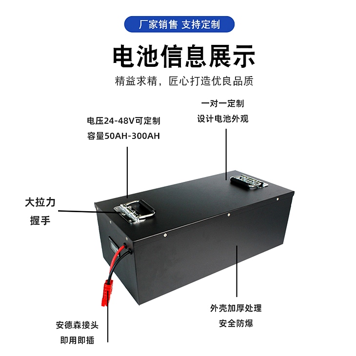 低速四轮车锂电池