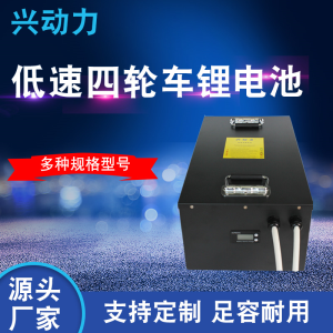 低速四轮车锂电池